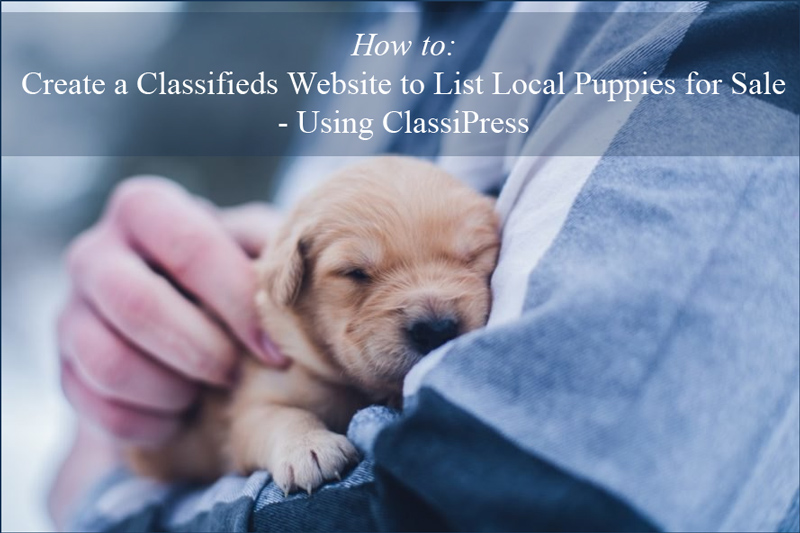 classifieds-website-tutorial