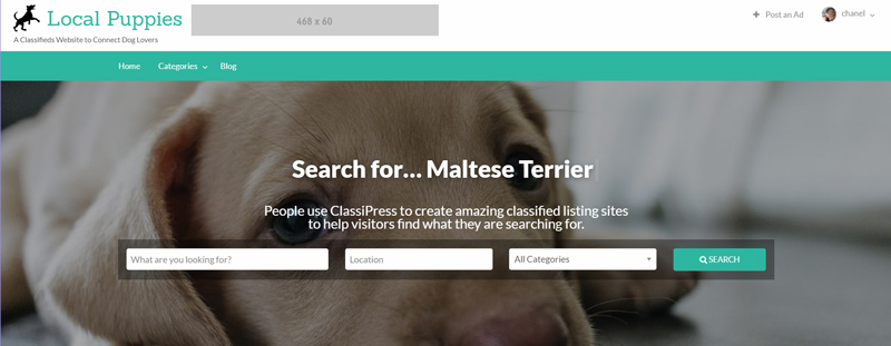classipress-site-for-dogs